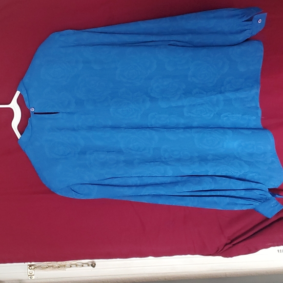 Blue Blouse with Roses - Picture 10 of 10